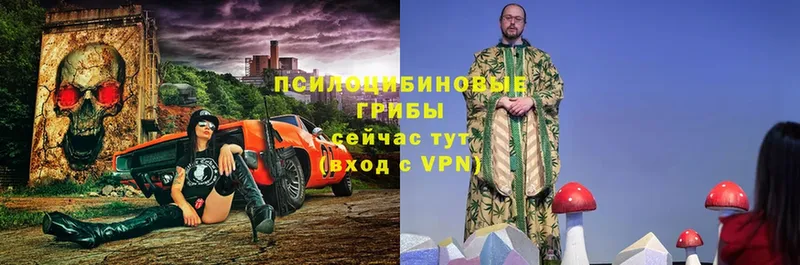 где продают   Касли  Галлюциногенные грибы мицелий 